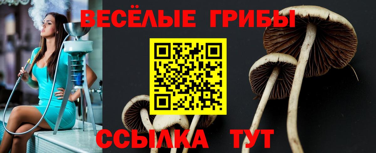 Галлюциногенные грибы ЛСД Зеленодольск