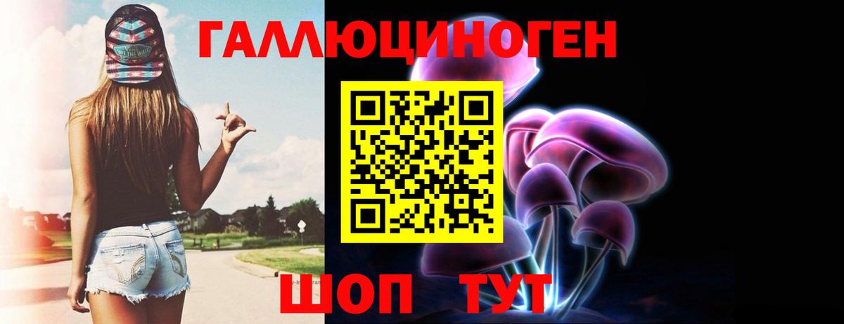 купить  цена  Галлюциногенные грибы MAGIC MUSHROOMS  Вход с VPN  Зеленодольск 